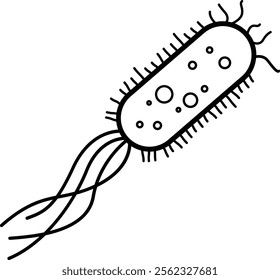 Escherichia Coli Bacteria or E. Coli Illustration Outline