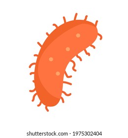 Escherichia coli. E. Coli bacteria vector illustration on a white background. Concept medical flat illustration. Bacteria Infection flat icon, vector sign. Flat style design.