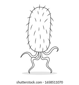 Escherichia coli Mikroorganismen Vektorillustration Illustration einzeln auf weißem Hintergrund. E. Cartoon der coli-Vektorillustration farblos.