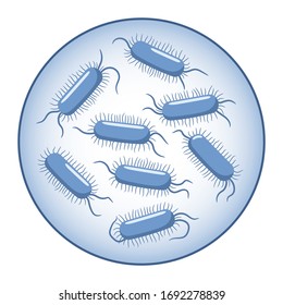 Escherichia coli. Geruchsförmige Bakterien in einem Vergrößerungsglas. Mikrobiologie. Vektorillustration auf flachem Hintergrund einzeln auf weißem Hintergrund