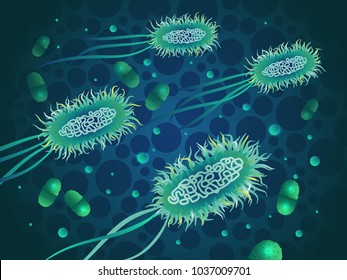 Escherichia coli virus