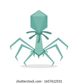 Escherichia Virus T4 microorganisms vector illustration isolated on white background. Escherichia Virus T4 cell vector cartoon. 