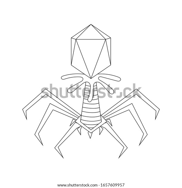 Bacteriophage T4 Isometric Capsid Isolated Stock Illustration Illustration Of Green Escherichia 198092560