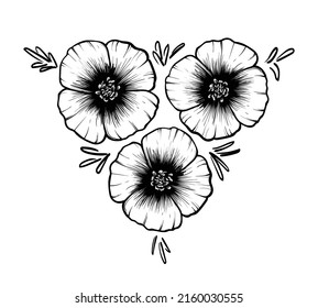 Eschscholzia flowers in line art style. Black and white line illustration of Eschscholzia flowers on a white background. Vector flower isolated on white. Eschscholzia californica.