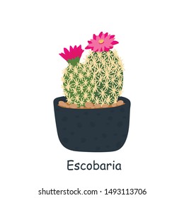 Escobaria isolated on a white background. Cute cactus. Vector illustration in cartoon style.