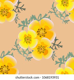 Eshsholtsiya orange flowers with leaves floral seamless texture, vector.