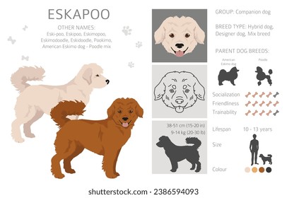 Clíparte de Eskapoo. Mezcla de perro esquimal Poodle. Colores de abrigo diferentes.  Ilustración del vector