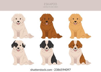 Eskapoo clipart. Eskimo dog Poodle mix. Different coat colors set.  Vector illustration