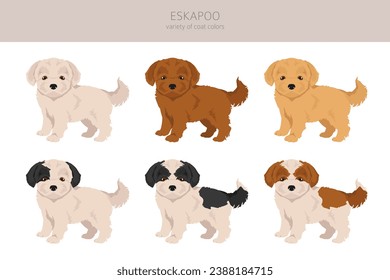 Eskapoo clipart. Eskimo dog Poodle mix. Different coat colors set.  Vector illustration