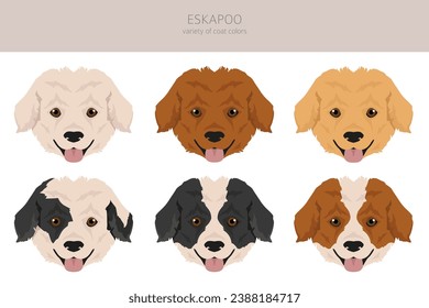 Eskapoo clipart. Eskimo dog Poodle mix. Different coat colors set.  Vector illustration