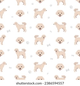 Eskapoo seamless pattern Eskimo dog Poodle mix. Different coat colors set.  Vector illustration