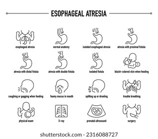 Esophageal Atresia symptoms, diagnostic and treatment vector icon set. Line editable medical icons.