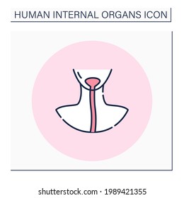 Esophagus-Farbsymbol. Speiserohr oder -Möhre. Halsverbindung, Pharynx mit Magen. Körperteile. Konzept der menschlichen inneren Organe.Einzelne Vektorgrafik