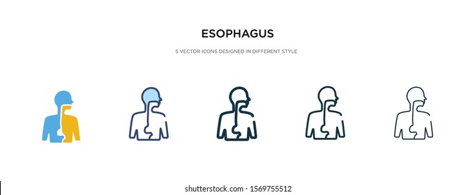 esophagus icon in different style vector illustration. two colored and black esophagus vector icons designed in filled, outline, line and stroke style can be used for web, mobile, ui