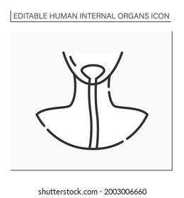 Esophagus line icon. Food pipe or gullet. Connecting throat, pharynx with stomach. Body parts. Human internal organs concept.Isolated vector illustration.Editable stroke