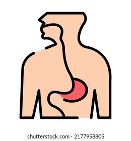 esophagus Modern concepts design, vector illustration