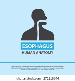 Esophagus Symbol, Medical Icon. Vector Illustration 