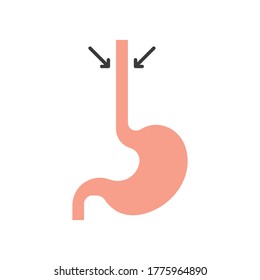 Esophagus Vector Icon Symbol Anatomy Isolated On White Background