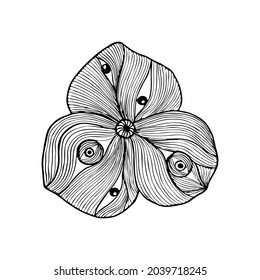 Esoteric magic flower doodling hand drawing, black outline, fanaticism, unreal. Isolated, white background.