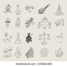 Esoteric magic witchcraft attributes doodle set. Collection of hand drawn witch tools occult objects hats broom cards moonlight snake isolated on transparent background