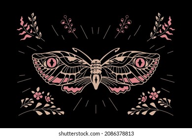 Esoteric Owl Butterfly Tropic Insect Concept Suitable for Decoration and Background