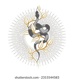 Esoteric snake of wisdom on a branch hermetic alchemy medieval occultic tattoo isolated on white. Vector illustration. 