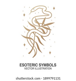 Esoteric symbols. Vector. Thin line geometric badge. Outline icon for alchemy or sacred geometry. Mystic and magic design with snake and wildflower