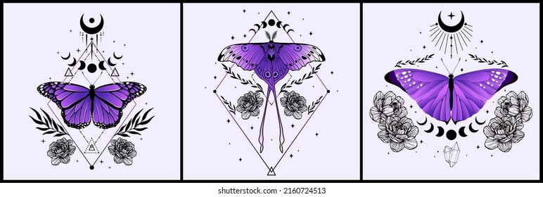 Esoteric wall art vector set. Artistic drawing of the foliage line with an abstract shape and butterflies. Plant art design for printing, cover art, wallpaper.