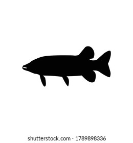 Esox Fish Silhouette Vector Illustration