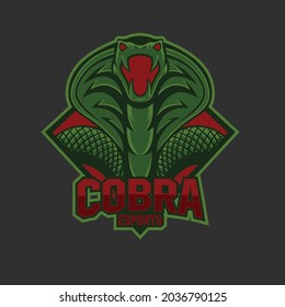 an esport logo with a modern cobra mascot, this logo is suitable for use as an esport logo, gaming, steamer or community activities in the wild and adventure
