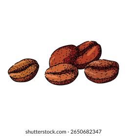 espresso café feijão desenhado à mão. torrado de cerveja, moer latte, mocha cappuccino espresso café feijão esboço vetor. ilustração de cor isolada
