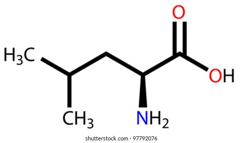 Essential Amino Acid Leucine Structural Formula