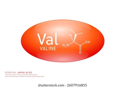 Essential amino acids valine red ellipse form with chemical structure on white background. For design supplement for the body and muscles. Medical Science. Vector EPS10.