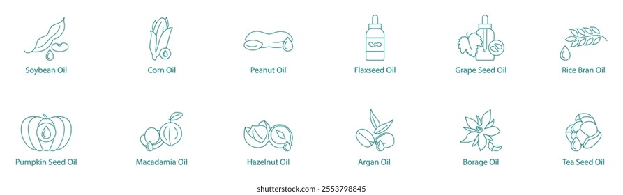 Essential Cooking and Health Oils Vector Icon Set: Soybean, Corn, Peanut, Flax, Grape, Rice Bran, Pumpkin, Macadamia, Hazelnut, Argan, Borage, Tea Seed