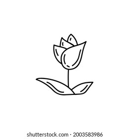 Icono de flor esencial en estilo de línea negra plana, aislado en fondo blanco 