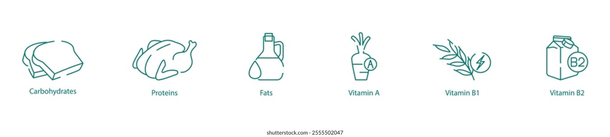 Essential Macronutrients and Vitamins Icon Set - Carbohydrates, Proteins, Fats, Vitamin A, B1, and B2 for Balanced Wellness