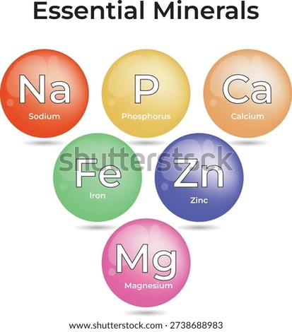 Essential Minerals Key Nutrients for Human Health