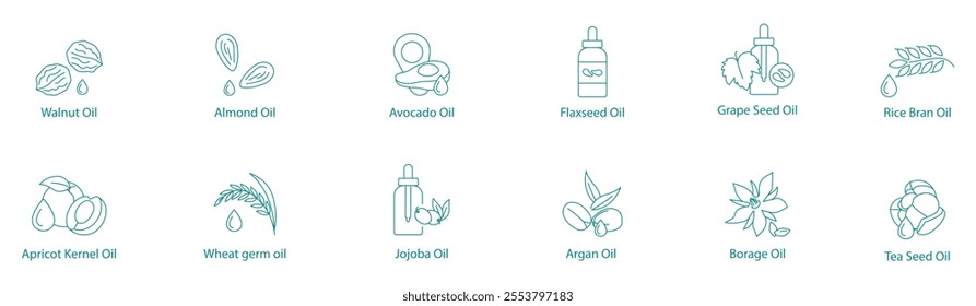 Essential Natural Oils Vector Icon Set: Walnut, Almond, Avocado, Flaxseed, Grape Seed, Rice Bran, Apricot Kernel, Wheat Germ, Jojoba, Argan, Borage, Tea Seed