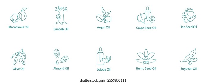 Essential Natural Oils Vector Icon Set: Macadamia, Baobab, Argan, Grape Seed, Tea Seed, Olive, Almond, Jojoba, Hemp, Soybean