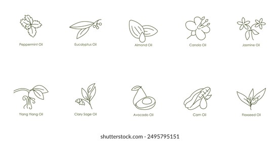 Essential and Nourishing Oils Vector Icons: Peppermint, Eucalyptus, Lavender, Almond, Canola, Jasmine, Ylang Ylang, Clary Sage, Avocado, Corn, Flaxseed oil