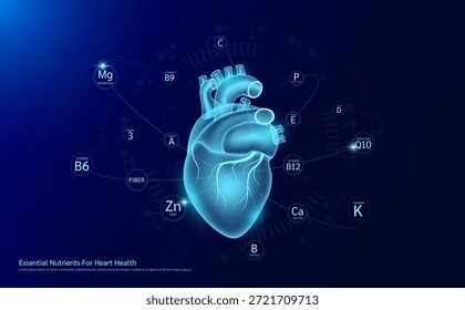 Essenzielle Nährstoffe für das Herz. Durchscheinendes menschliches Organ umgeben Omega 3 Vitamine B12 B6 und Mineralien Zink Phosphor Magnesium. Beste Ergänzung für gesunde. Medizinische Versorgung. Vektor.