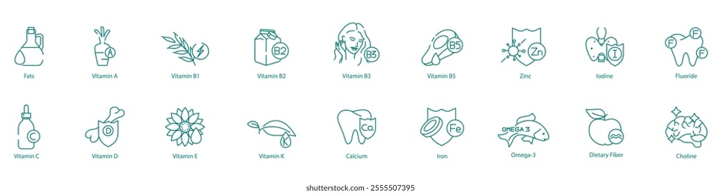 Essential Nutrients Icon Set - Fats, A, B1, B2, B3, B5, Zinc, Iodine, Fluoride, C, D, E, K, Calcium, Iron, Omega-3, Dietary Fiber, and Choline for Health and Wellness