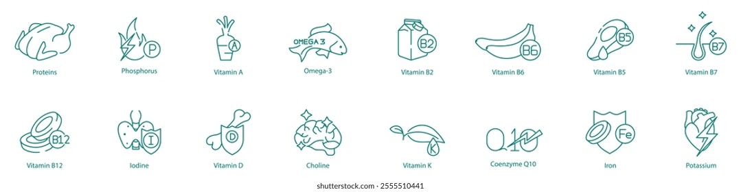 Essential Nutrients Icon Set - Proteins, Phosphorus, Vitamin A, Omega-3, B2, B6, B5, B7, B12, Iodine, D, Choline, K, Coenzyme-10, Iron, and Potassium for Optimal Health and Wellness