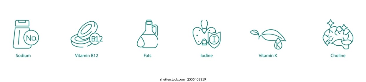 Essential Nutrients Icon Set - Sodium, Vitamin B12, Fats, Iodine, Vitamin K, and Choline for Balanced Health