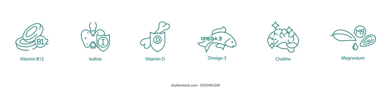Essential Nutrients Icon Set - Vitamin B12, Iodine, Vitamin D, Omega-3, Choline, and Magnesium for Health