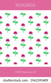 Essential oil banner or label. Monarda essential oil. Scalable monarda pattern. Cosmetics packaging design. Template on the theme of aromatherapy.