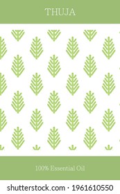 Essential oil banner or label. Thuja essential oil. Scalable thuja pattern. Cosmetics packaging design. Template on the theme of aromatherapy.