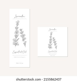essential oil bottle design with hand drawn illustration of lavender
