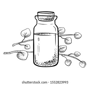 Essential oil bottle with eucalyptus leaves, hand drawn vector illustration
