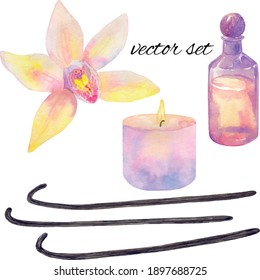 Essential oil in bottle, vanilla flower and sticks, burning candle in pastel pink tones. Vector elements for design. Hand drawn watercolor illustration. Isolated on white background.